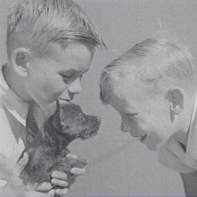 Negative - Wilding Family - Boys and Dog, Allan Doney, 1950 -1970