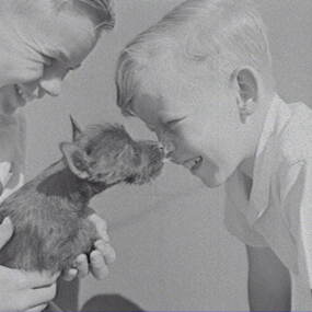 Negative - Wilding Family - Boys and Dog, Allan Doney, 1950 -1970