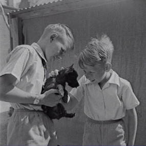 Negative - Wilding Family - Boys and Dog, Allan Doney, 1950 -1970
