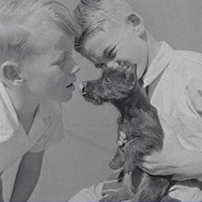 Negative - Wilding Family - Boys and Dog, Allan Doney, 1950 -1970