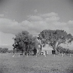 Negative - Farm House, Allan Doney, 1950 -1970