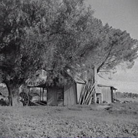 Negative - Farm House - Cart, Allan Doney, 1950 -1970