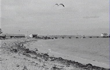 Negative - Anglesea - Lorne - Beach - Jetty - Buildings, Allan Doney, 1950 -1970