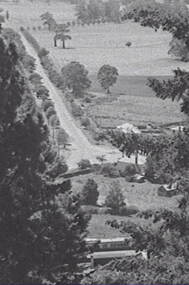 Negative - Country Town - Road - Forest, Allan Doney, 1950 -1970