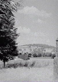 Negative - Rural Scene - Buildings - Trees, Allan Doney, 1950 -1970