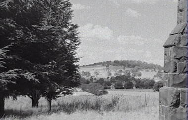 Negative - Rural Scene - Buildings - Trees, Allan Doney, 1950 -1970