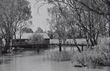 Negative - River - Bridge - Building, Allan Doney, 1950 -1970