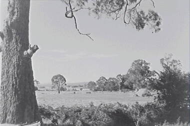 Negative - Glenlyon - Trees - Hay Stack - House, Allan Doney, 1950 -1970
