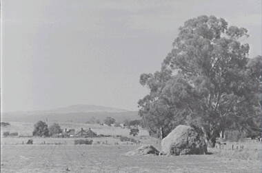 Negative - Glenlyon - Trees - Hay Stack - House, Allan Doney, 1950 -1970