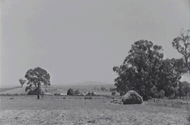 Negative - Glenlyon - Trees - Hay Stack - House, Allan Doney, 1950 -1970