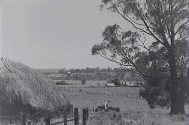 Negative - Glenlyon - Farm - Hay Stack - Trees, Allan Doney, 1950 -1970