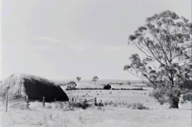 Negative - Glenlyon - Farm - Hay Stack - Trees, Allan Doney, 1950 -1970