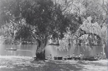 Negative - River - Row Boats - Trees - People, Allan Doney, 1950 -1970