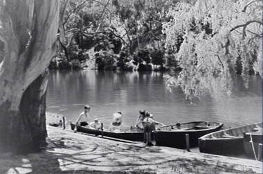 Negative - River - Row Boats - Trees - People, Allan Doney, 1950 -1970