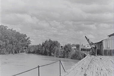 Negative - Echuca - Wharf - River, Allan Doney, 1950 -1970
