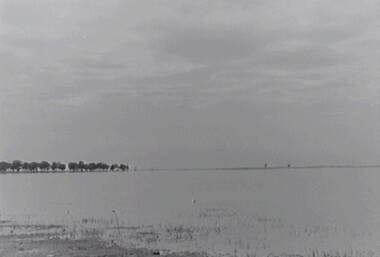 Negative - Boort - Lake, Allan Doney, 1950 -1970