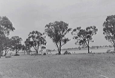 Negative - Boort - Lake - Cars, Allan Doney, 1950 -1970