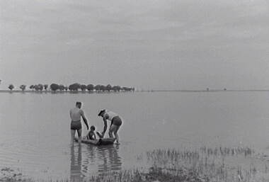 Negative - Boort - Lake - Swimming, Allan Doney, 1950 -1970