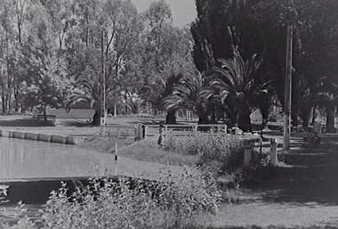 Negative - Boort - Park - Lake, Allan Doney, 1950 -1970