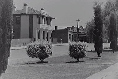Negative - Boort - Street - Businesses - Trees, Allan Doney, 1950 -1970