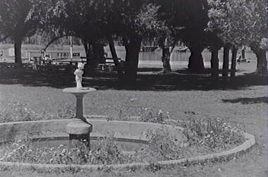 Negative - Boort - Park - Picnic Area - Lake, Allan Doney, 1950 -1970