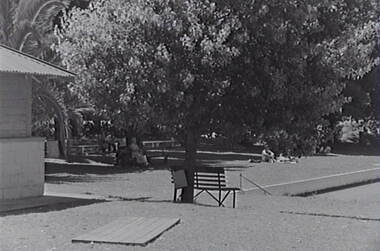 Negative - Boort - Park - Lake, Allan Doney, 1950 -1970