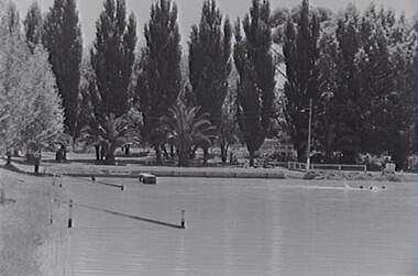 Negative - Boort - Park - Lake, Allan Doney, 1950 -1970