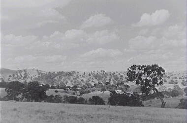 Negative - Tooborac - Rural Scene - Hills, Allan Doney, 1950 -1970