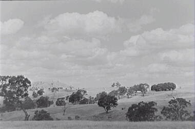 Negative - Tooborac - Rural Scene - Hills, Allan Doney, 1950 -1970