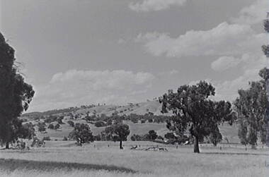 Negative - Tooborac - Rural Scene - Hills, Allan Doney, 1950 -1970