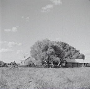 Negative - Yappeen - Farm House, Allan Doney, 1950 -1970