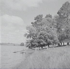 Negative - Malmsbury - Reservoir, Allan Doney, 1950 -1970