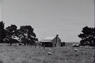 Negative - Kyneton - Farm House - Sheep, Allan Doney, 1950 -1970