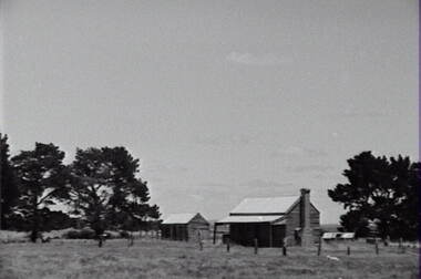 Negative - Kyneton - Farm House - Sheep, Allan Doney, 1950 -1970