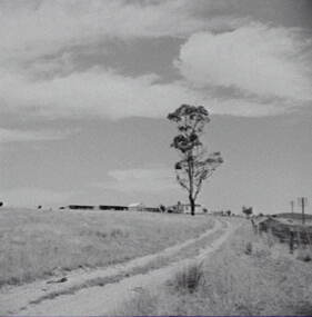 Negative - Rural Scene - Farm House, Allan Doney, 1950 -1970