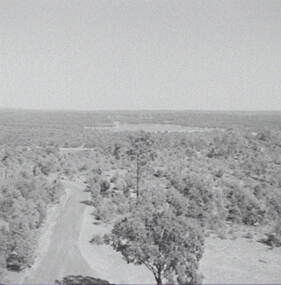 Negative - One Tree Hill - Bendigo, Allan Doney, 1950 -1970