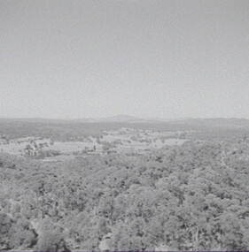 Negative - One Tree Hill - Bendigo, Allan Doney, 1950 -1970