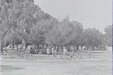 Negative - Park - Swimming - Bendigo Baths, Allan Doney, 1950 -1970