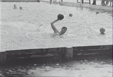 Negative - Bendigo Baths - Water Polo, Allan Doney, 1950 -1970