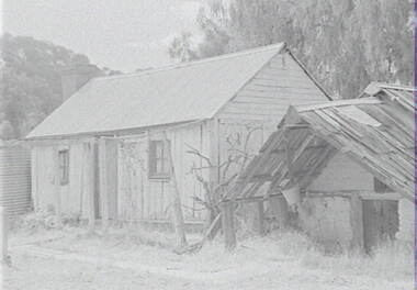 Negative - Barnadown - House, Allan Doney, 1950 -1970