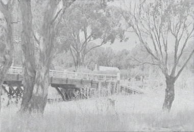 Negative - Barnadown - Bridge, Allan Doney, 1950 -1970