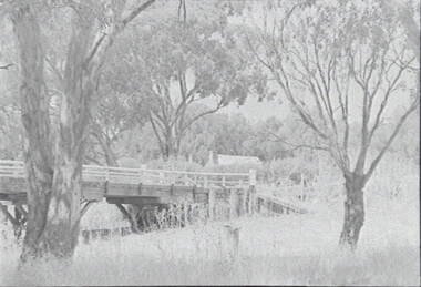 Negative - Barnadown - Bridge, Allan Doney, 1950 -1970