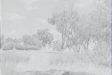 Negative - Barnadown - Trees - House, Allan Doney, 1950 -1970