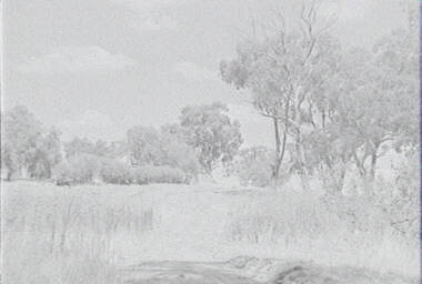 Negative - Barnadown - Trees - House, Allan Doney, 1950 -1970