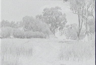 Negative - Barnadown - Trees - House, Allan Doney, 1950 -1970
