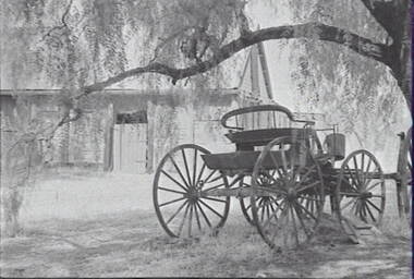 Negative - Barnadown - House - Buggy, Allan Doney, 1950 -1970