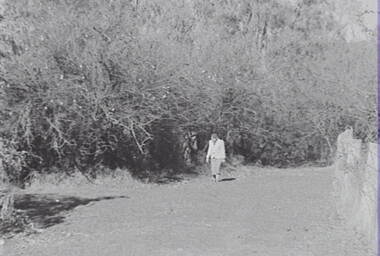 Negative - Lockwood - Hedge - Mrs Doney, Allan Doney, 1950 -1970