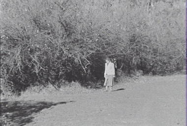 Negative - Lockwood - Hedge - Mrs Doney, Allan Doney, 1950 -1970