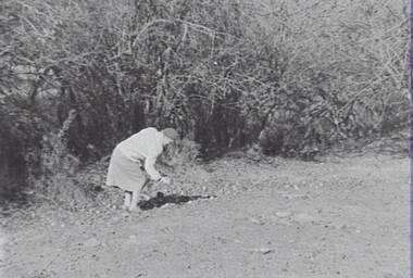 Negative - Lockwood - Hedge - Mrs Doney, Allan Doney, 1950 -1970