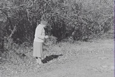 Negative - Lockwood - Hedge - Mrs Doney, Allan Doney, 1950 -1970